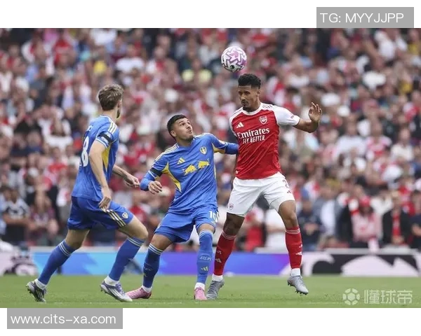 足球巨星伯德：从绿茵场到传奇人生的奋斗与荣耀