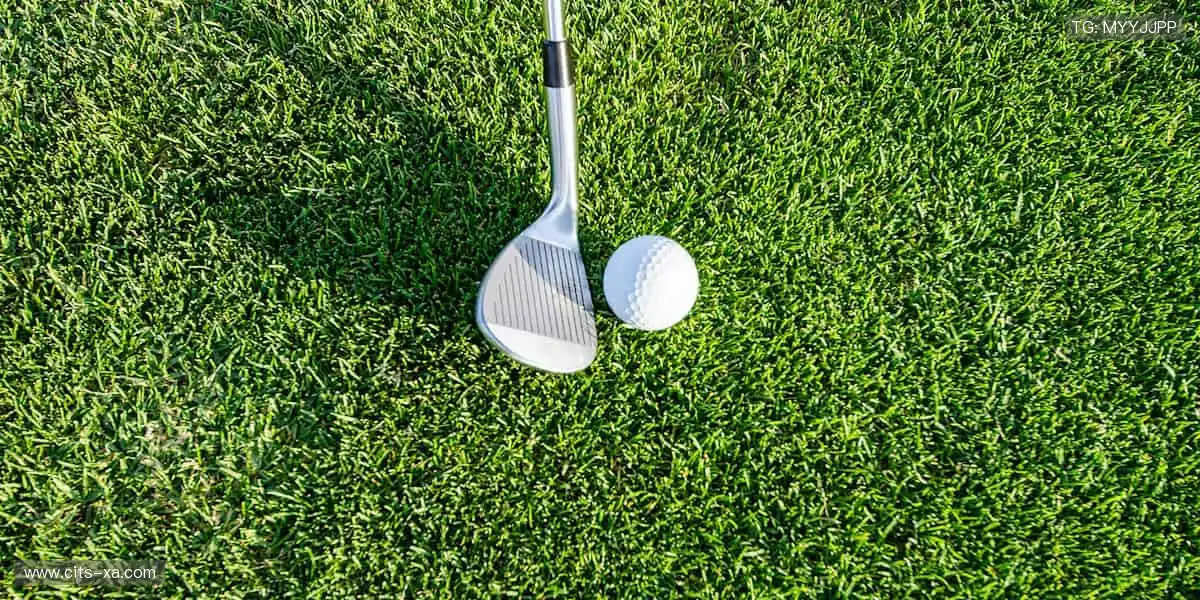 🏃‍♀️全民运动，健康生活！📅赛事日历，开启你的运动新纪元！